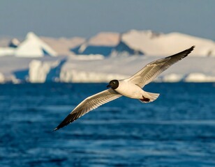 Bird in flight over icy landscape