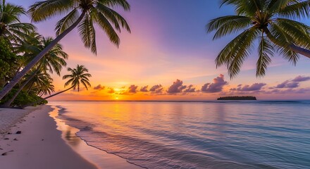 Fototapeta premium Tropical beach sunset with palm trees and calm ocean waves