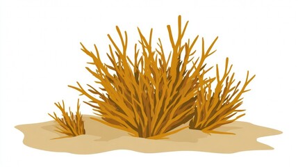 Desert plants with yellow branches on sandy ground.