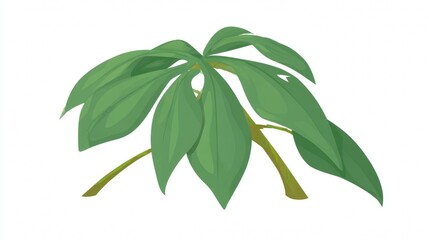 Tropical leaves on a stem, lush green foliage, botanical illustration.