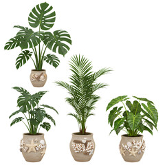 Obraz premium Artificial Tropical Plants: Monstera, Fern & Palm in Decorative Pots