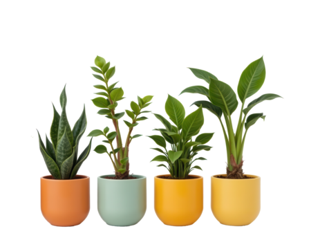Four Colorful Potted Plants in Decorative Containers for Home Decor