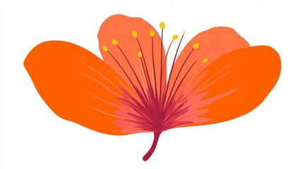 A vibrant orange gerbera lily bloom with delicate petals is isolated on a white background, capturing the macro beauty of a spring floral blossom in a clean nature closeup