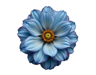 Beautiful Blue Lotus Flower with Intricate Petal Design and Detail