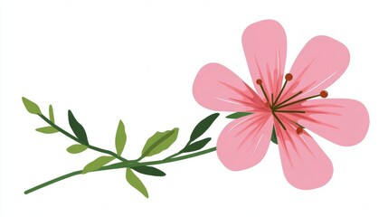 Fototapeta premium A beautiful pink lily flower illustration featuring a blooming spring bud and green leaf on a white background, perfect for a floral nature card design or summer bouquet decoration