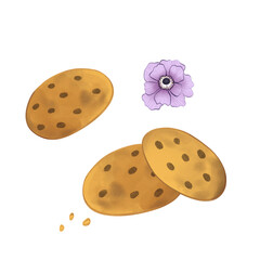 Delicious illustration with chocolate cookies and a flower