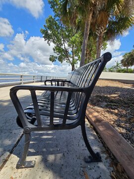 Black park bench by waterfront walkway with palm trees. Bradenton Fl.  07/30/3035