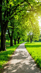 A Peaceful Tree-Lined Pathway in a Lush Green Park on a Bright Sunny Day