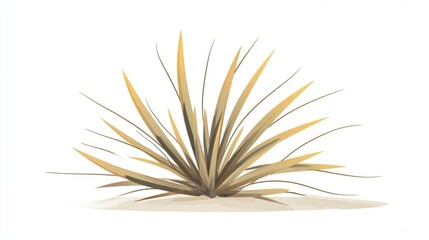 Obraz premium Illustration of a dry, spiky desert plant with long, pointed leaves, isolated on a white background.