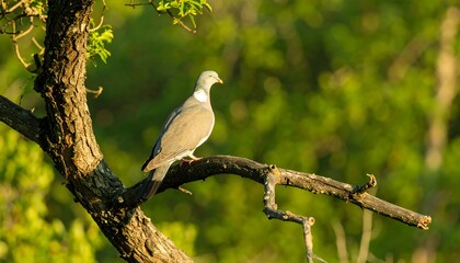 Bird perched on a branch