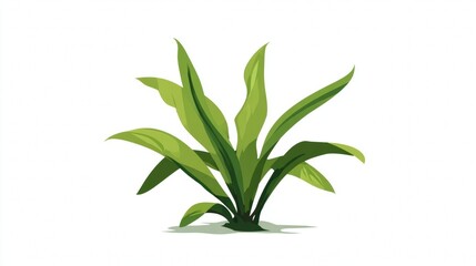 Fototapeta premium Closeup macro of a fresh green herb in a white pot, an isolated botanical ingredient on white