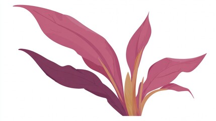 Fototapeta premium Stylized illustration of a plant with long, reddish-pink leaves and a yellowish base.