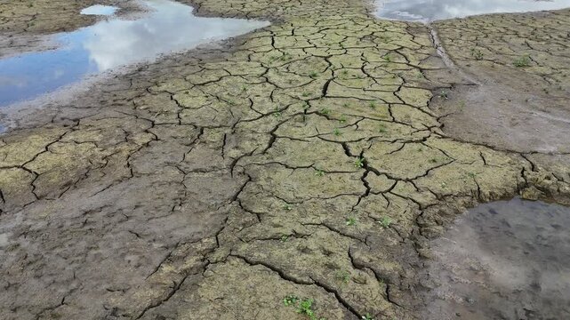 fond d'un plan d'eau ass&eacute;ch&eacute;, la terre est craquel&eacute;e, on voit les fissures entre les flaques d'eau avec un peu de v&eacute;g&eacute;tation, et le reflet des nuages dans l'eau 