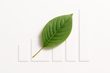 Green leaf placed over rising white bar chart on clean white background, representing eco-friendly growth and sustainability concept