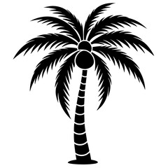 Fototapeta premium palm tree vector illustration