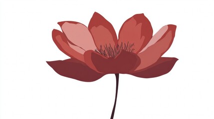 Pink lotus flower vector illustration featuring floral decoration and spring blossom design