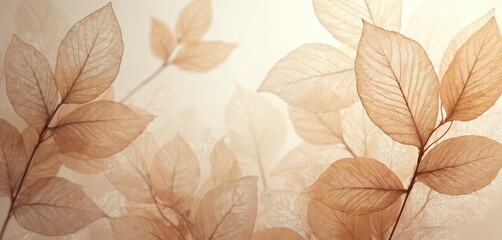 Fototapeta premium Delicate beige transparent leaves with intricate natural texture, veins create stunning abstract floral background, perfect for minimalist natural designs, neutral wallpapers. Botanical illustration