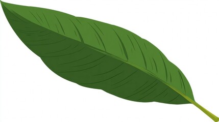 Obraz premium Single green leaf close-up isolated on white background, a fresh nature plant macro with visible texture and vein, showcasing organic botanical foliage