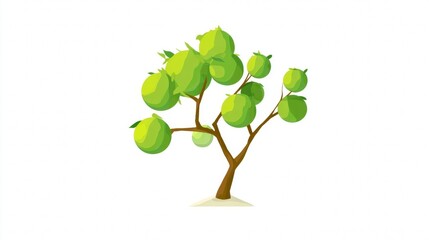 A simple, stylized illustration of a small fruit tree with round green leaves and fruit on a white background.