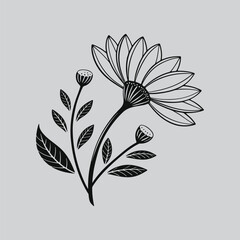 Gazania Delicate Botanical Flower Art