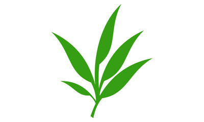 Fototapeta premium green leaf illustration vector isolated on white background