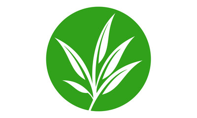 green eco leaf icon in circle vector
