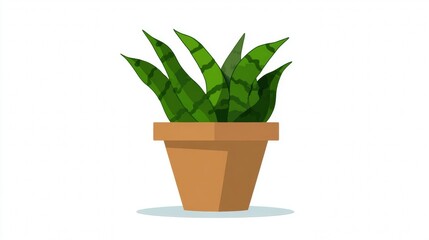Fototapeta premium Potted houseplant cactus with a green leaf in a flowerpot isolated on a white background