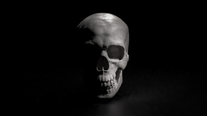 The Skull on Black Background for sci or medical concept 3d Rendering.