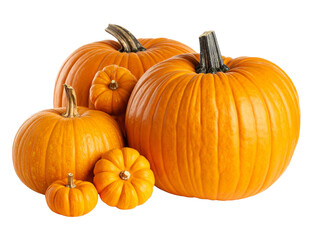 Group of pumpkins isolated on transparent background png