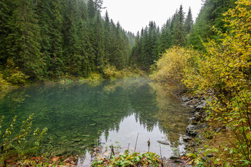 Lake Rosokhan near Osmoloda in Ivano-Frankivsk region, Ukraine. The leaf fall forest is reflected in water of lake. Autumn landscape.