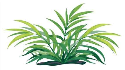 Obraz premium Green tropical palm tree with leaves isolated on white background with herbs and plants