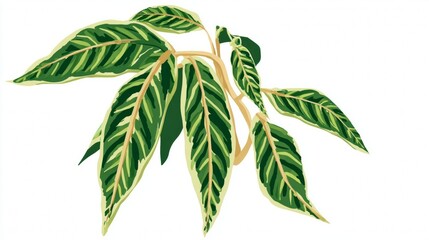 Isolated Christmas tree branch with a red ribbon on a white background