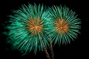 Fototapeta premium Colorful fireworks light up the night sky during a celebration in an urban area