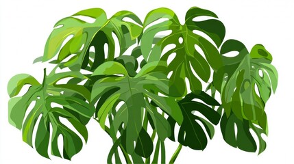 Obraz premium A fresh, green leaf isolated on a white background captures the natural growth of a summer plant