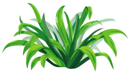 Fototapeta premium Fresh rosemary branch with green leaves isolated on a white background