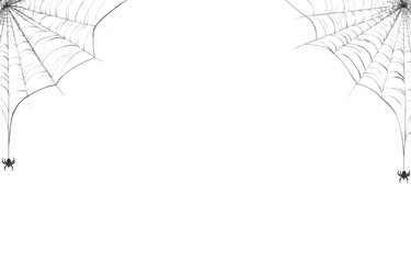 Spider web black with transparent background
