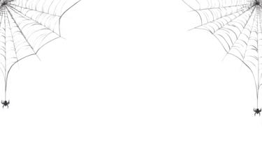 Spider web black with transparent background
