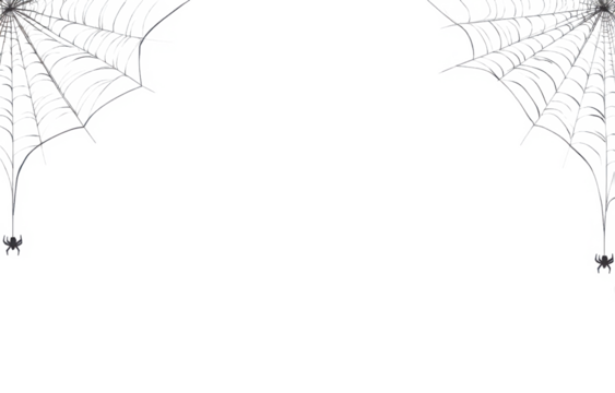 Spider web black with transparent background
