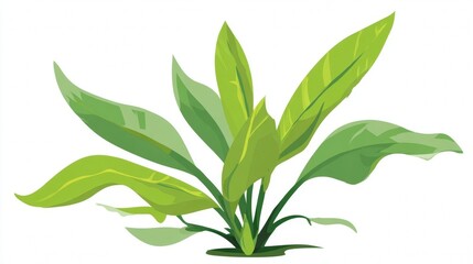 Fototapeta premium Fresh green leaves of a plant isolated on a white background