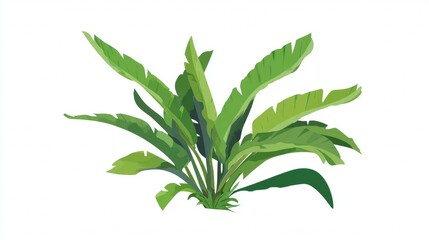 Fototapeta premium Fresh green rosemary herb leaves on a branch, isolated on a white background