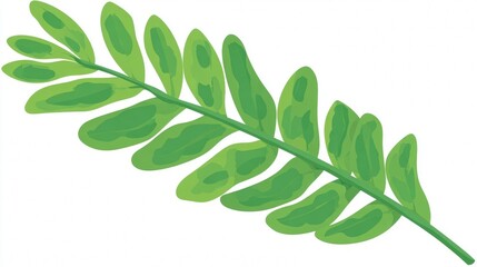 Obraz premium A fresh green leaf from a healthy plant is isolated against a clean white background