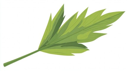 Obraz premium Fresh green leaves on a branch isolated against a clean white background