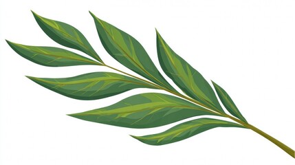 Green isolated leaves and fresh natural plant foliage on a white background
