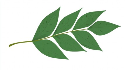 Isolated vibrant green leaves and branches on a clean white background