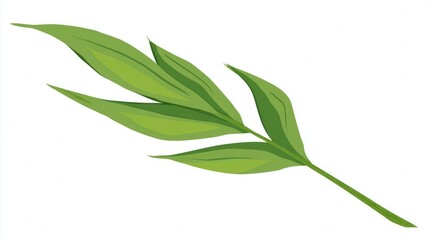 Fototapeta premium Green bamboo leaves and branches on a white background, isolated and fresh