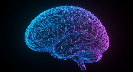 brain x ray