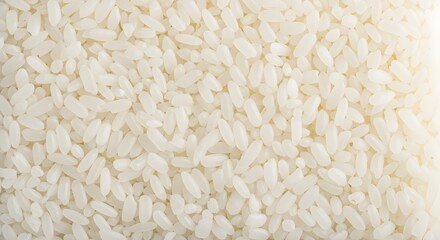 Abundant white uncooked rice grains fill frame, perfect for culinary inspiration and food backgrounds