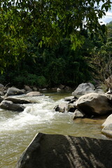 Waterfall in the middle of the forest