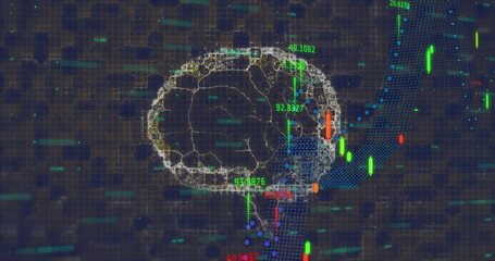 Overlaying wireframe brain model in virtual grid with candlesticks clusters labels and trend curves