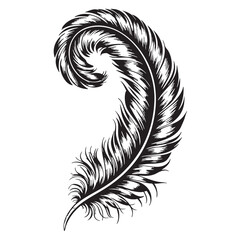 Obraz premium Elegant black feather silhouette vector